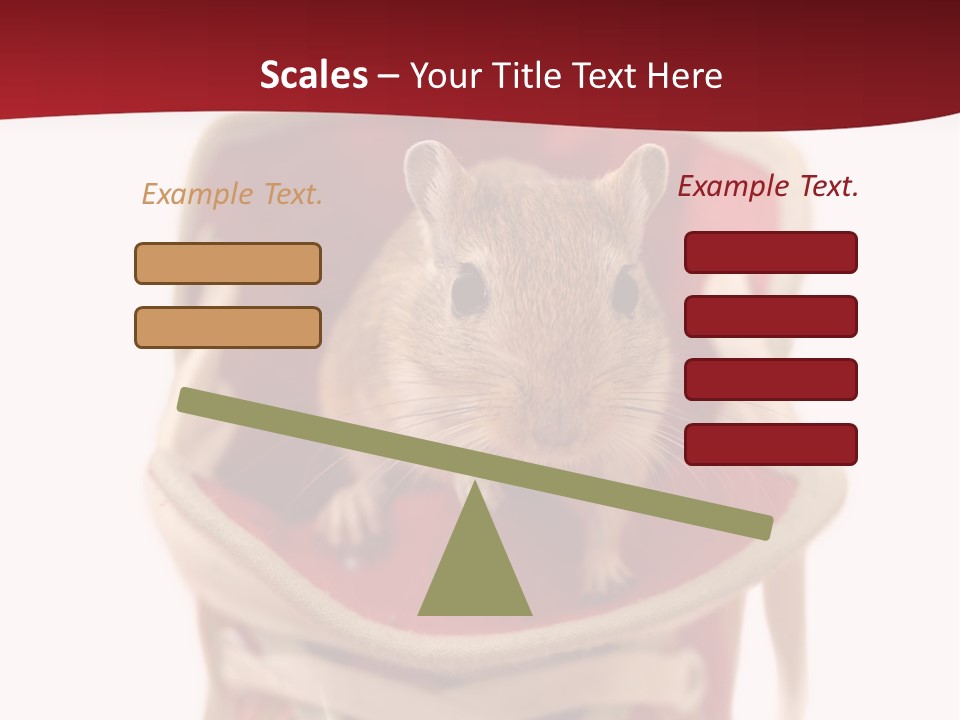 Cute Brown Gerbil Sitting In A Shoe Isolated On White PowerPoint Template