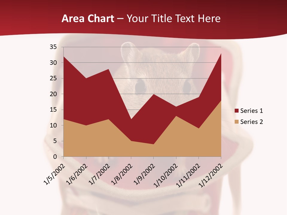 Cute Brown Gerbil Sitting In A Shoe Isolated On White PowerPoint Template