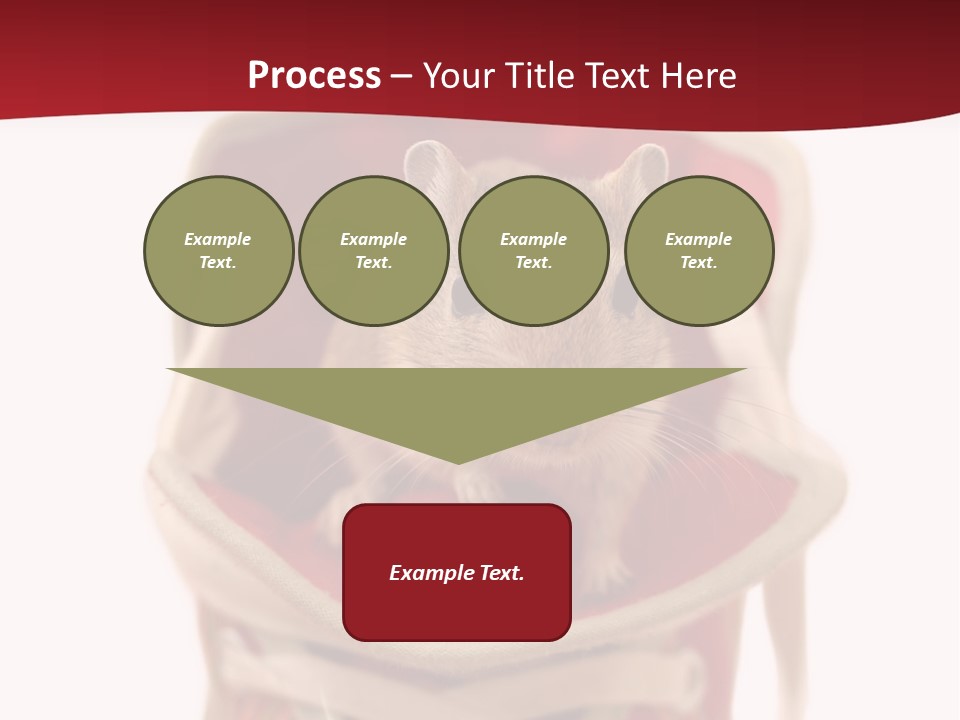 Cute Brown Gerbil Sitting In A Shoe Isolated On White PowerPoint Template