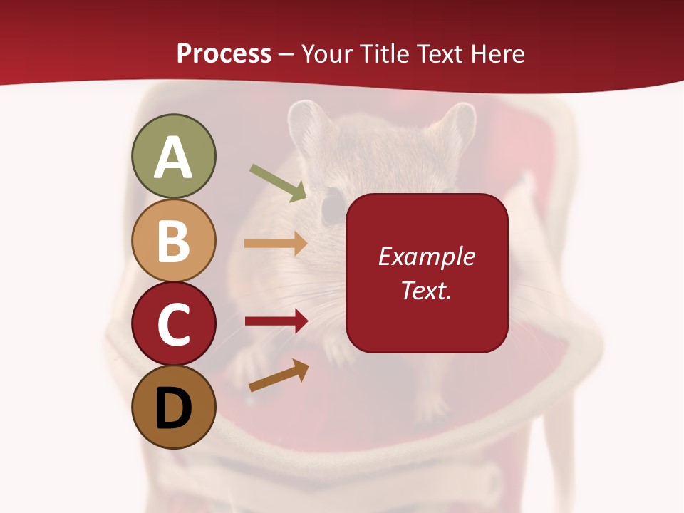 Cute Brown Gerbil Sitting In A Shoe Isolated On White PowerPoint Template