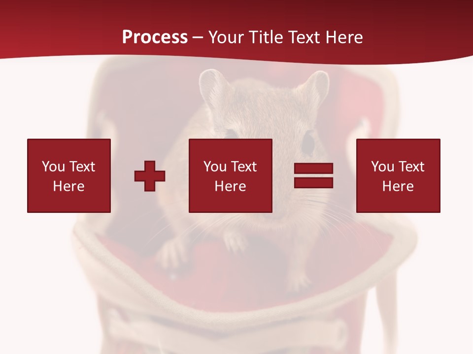 Cute Brown Gerbil Sitting In A Shoe Isolated On White PowerPoint Template