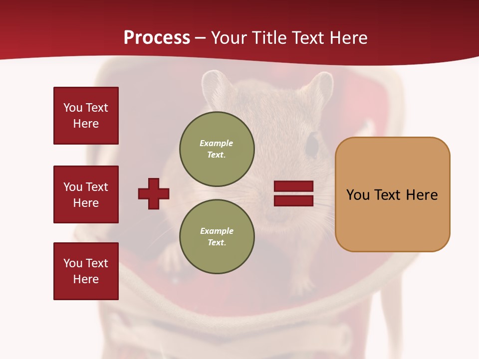 Cute Brown Gerbil Sitting In A Shoe Isolated On White PowerPoint Template