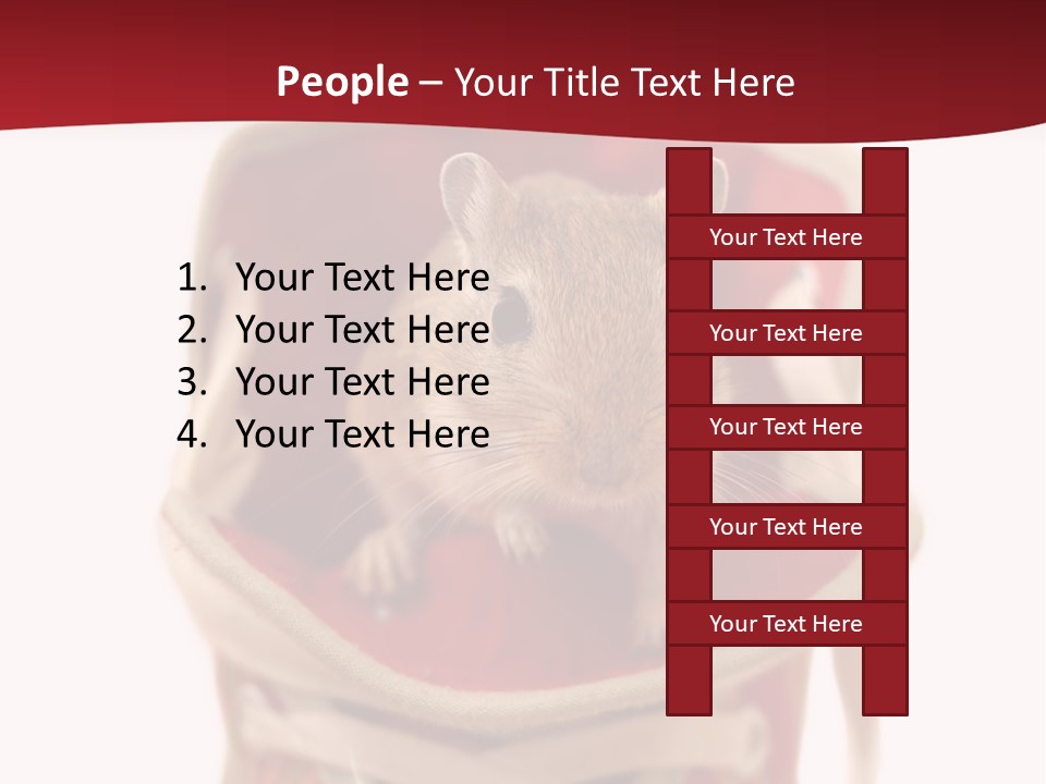 Cute Brown Gerbil Sitting In A Shoe Isolated On White PowerPoint Template