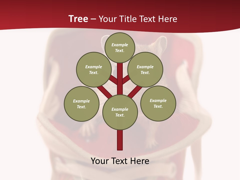 Cute Brown Gerbil Sitting In A Shoe Isolated On White PowerPoint Template