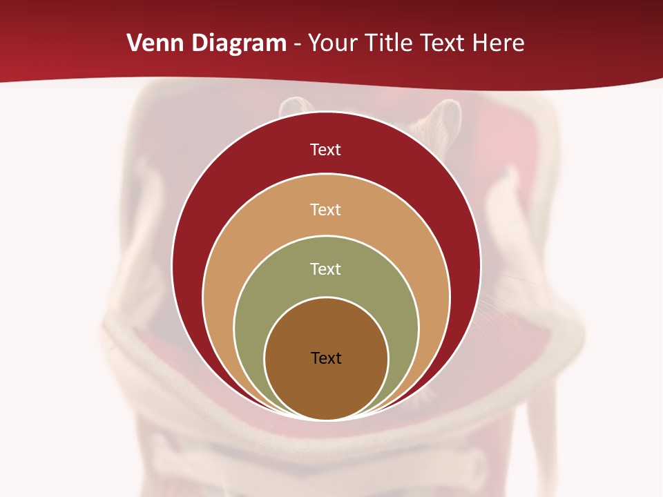 Cute Brown Gerbil Sitting In A Shoe Isolated On White PowerPoint Template