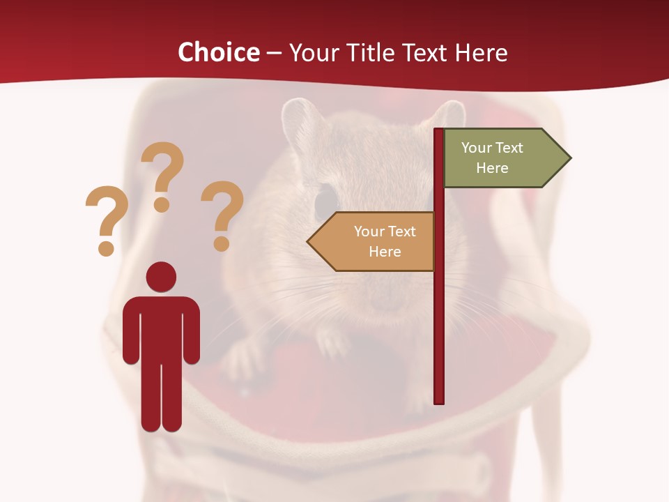 Cute Brown Gerbil Sitting In A Shoe Isolated On White PowerPoint Template