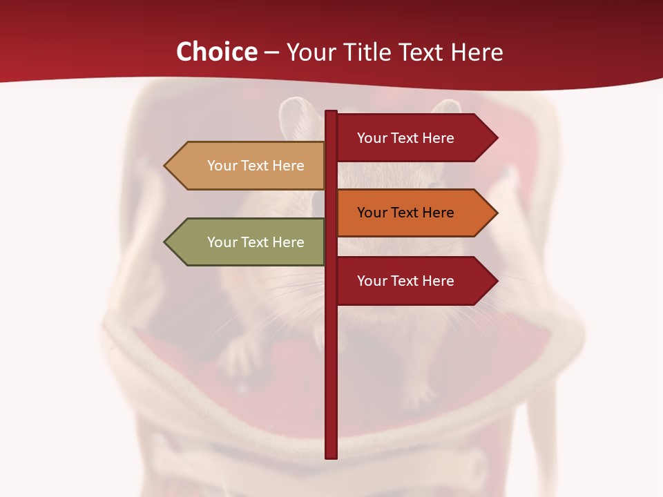 Cute Brown Gerbil Sitting In A Shoe Isolated On White PowerPoint Template