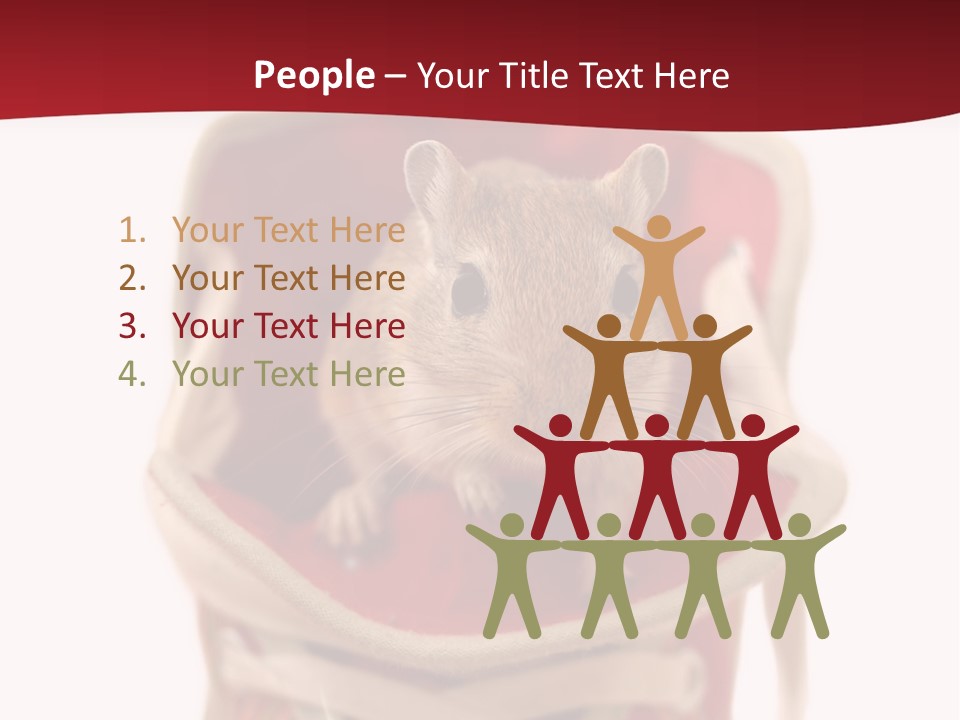 Cute Brown Gerbil Sitting In A Shoe Isolated On White PowerPoint Template