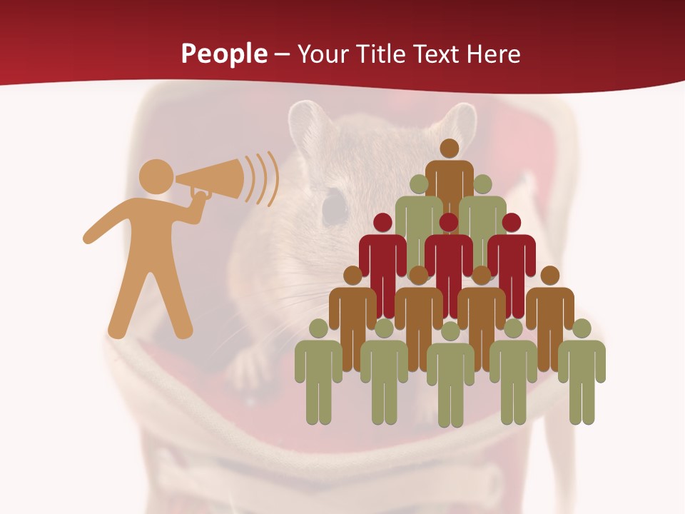 Cute Brown Gerbil Sitting In A Shoe Isolated On White PowerPoint Template