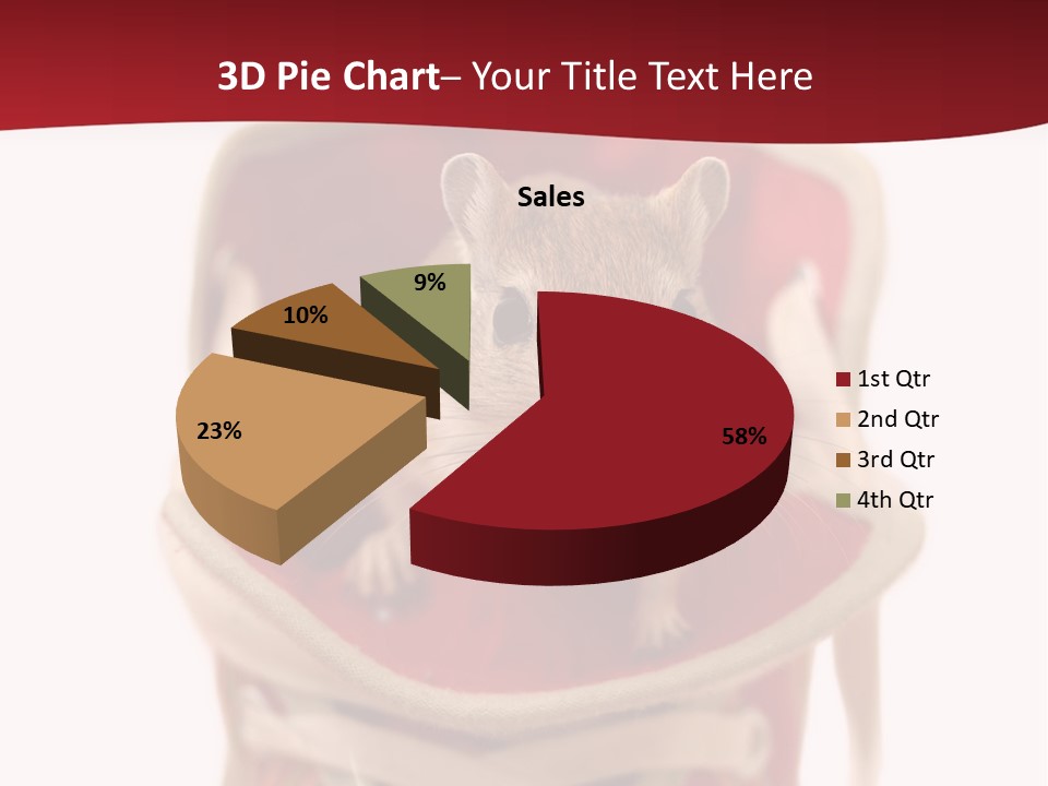 Cute Brown Gerbil Sitting In A Shoe Isolated On White PowerPoint Template