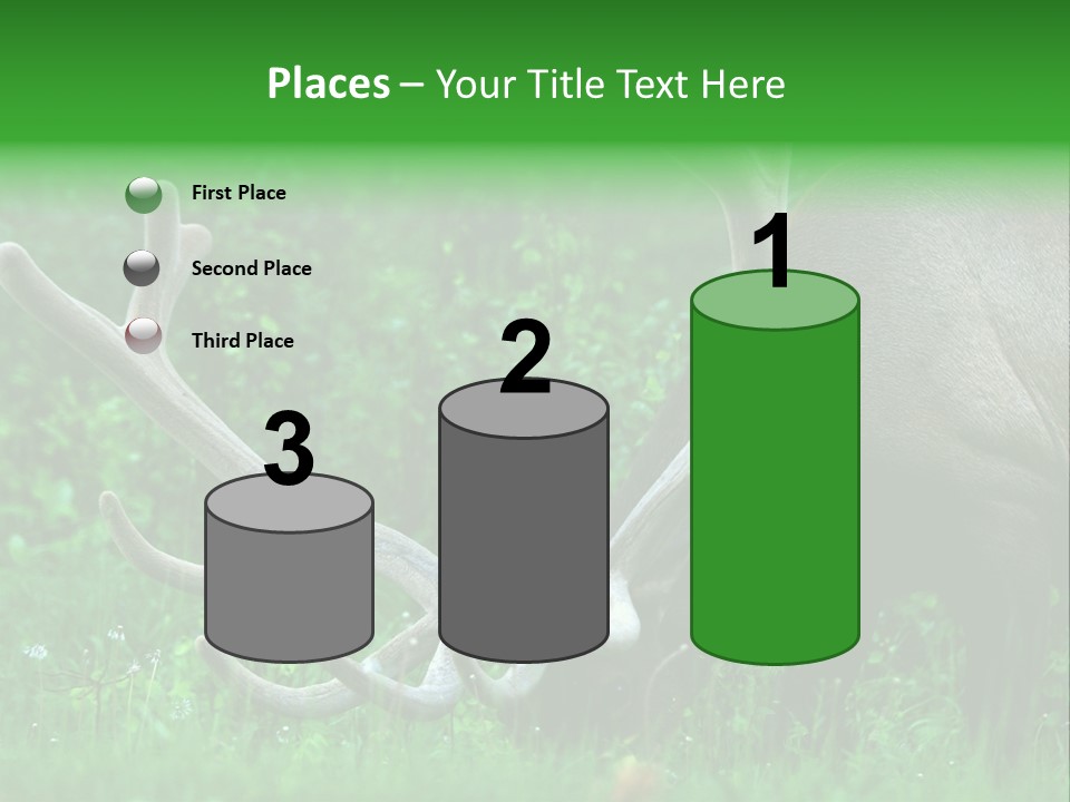 A Deer With Antlers Is Eating Grass In The Woods PowerPoint Template