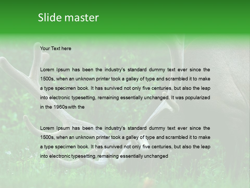 A Deer With Antlers Is Eating Grass In The Woods PowerPoint Template