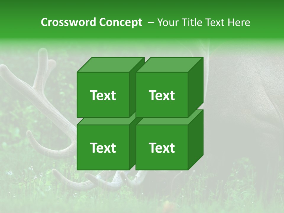 A Deer With Antlers Is Eating Grass In The Woods PowerPoint Template