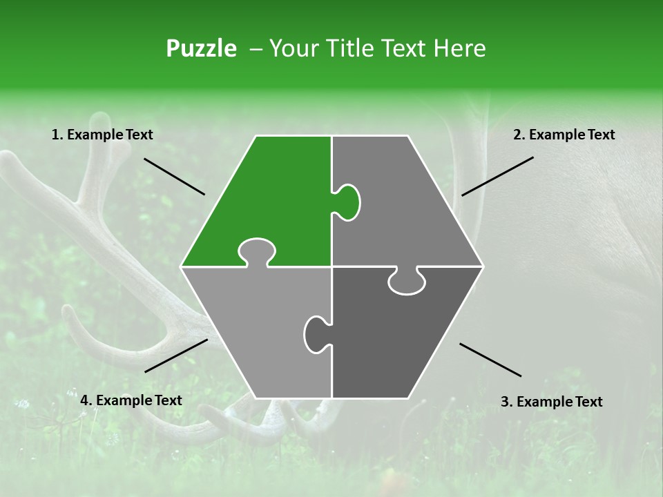 A Deer With Antlers Is Eating Grass In The Woods PowerPoint Template