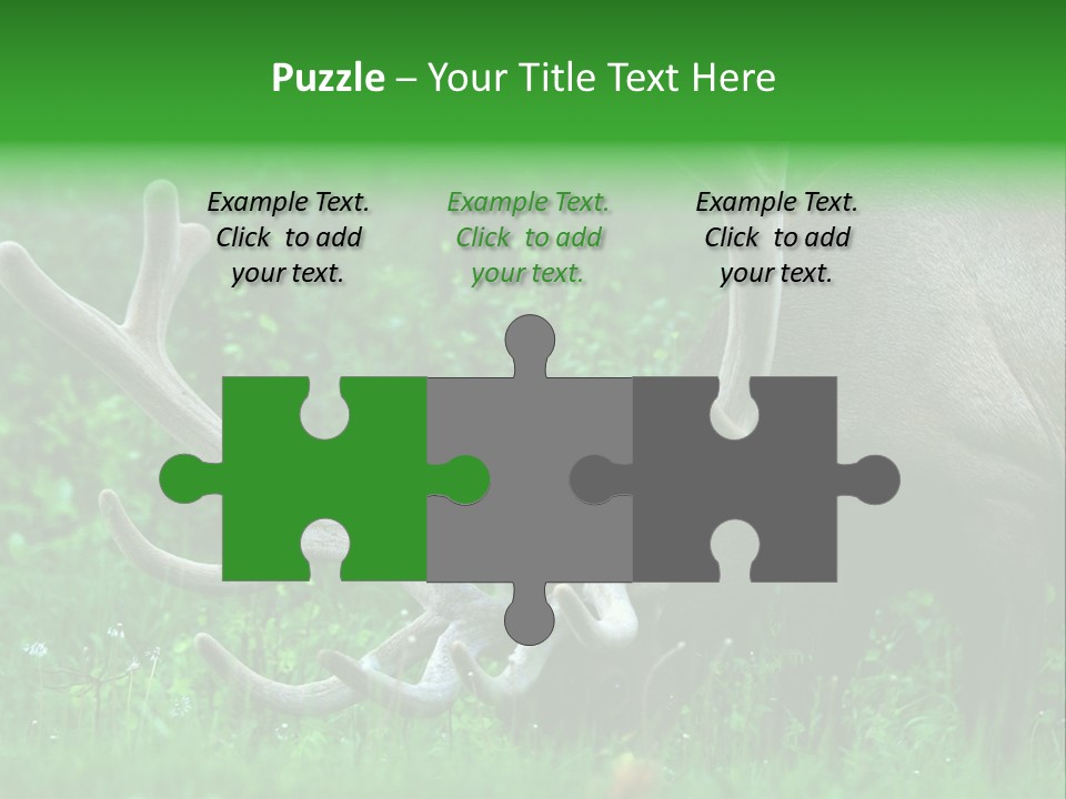 A Deer With Antlers Is Eating Grass In The Woods PowerPoint Template