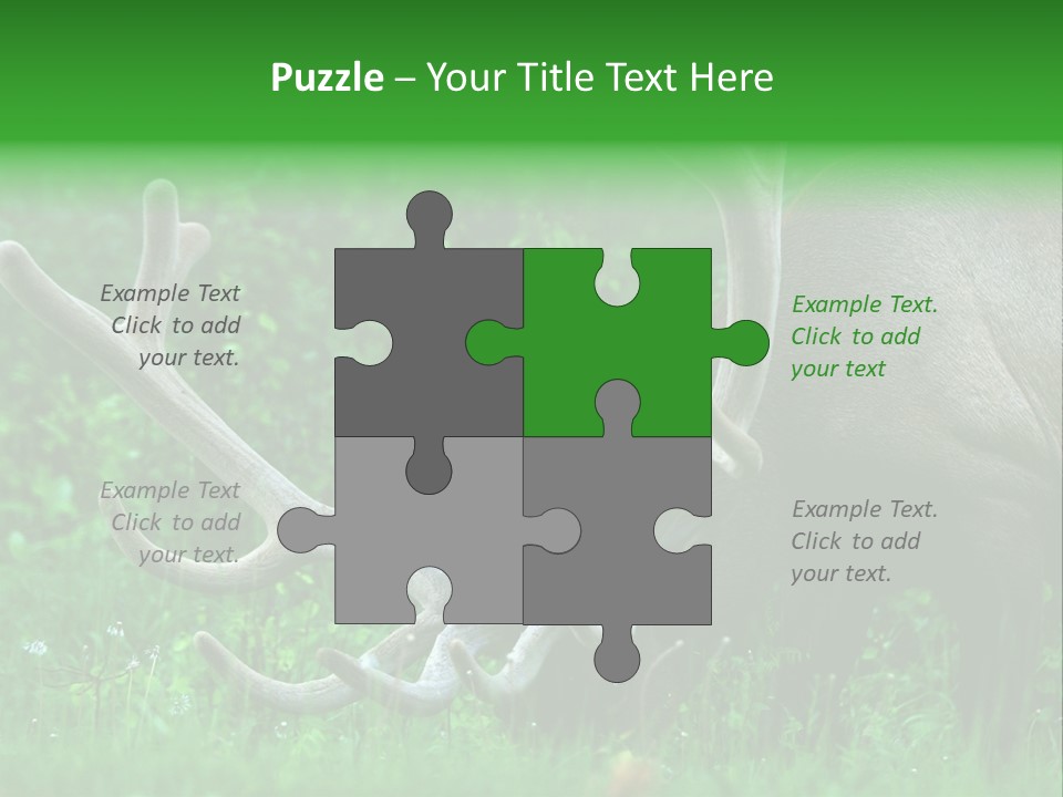 A Deer With Antlers Is Eating Grass In The Woods PowerPoint Template