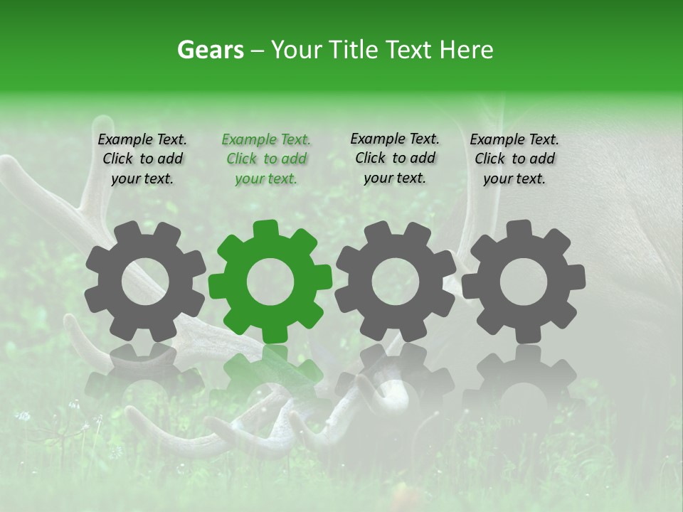 A Deer With Antlers Is Eating Grass In The Woods PowerPoint Template