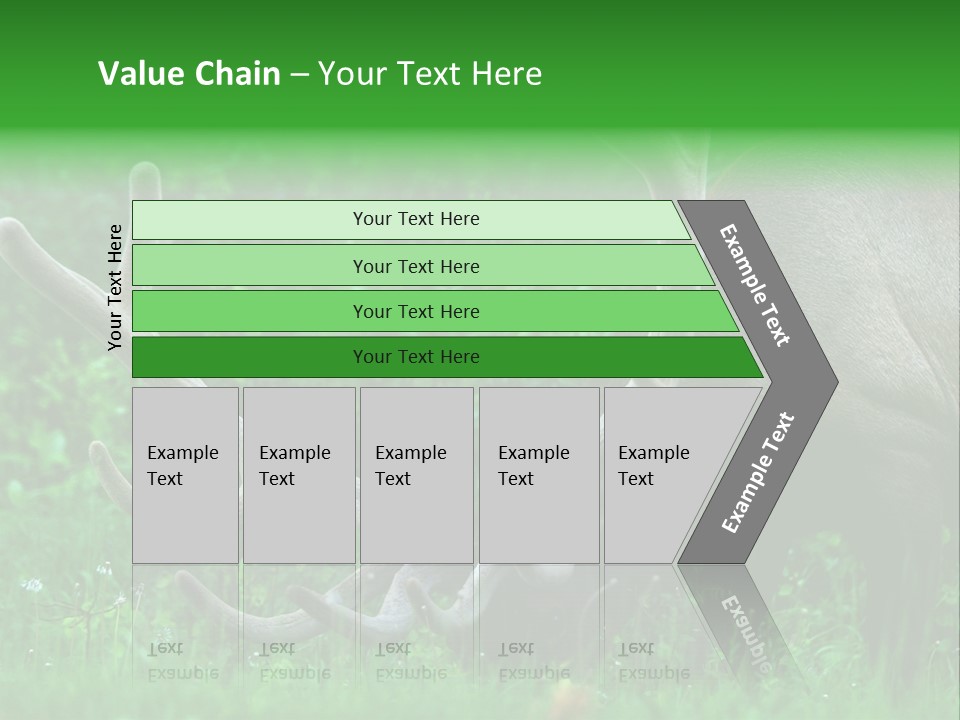 A Deer With Antlers Is Eating Grass In The Woods PowerPoint Template