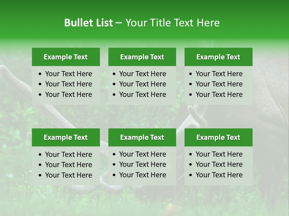 A Deer With Antlers Is Eating Grass In The Woods PowerPoint Template