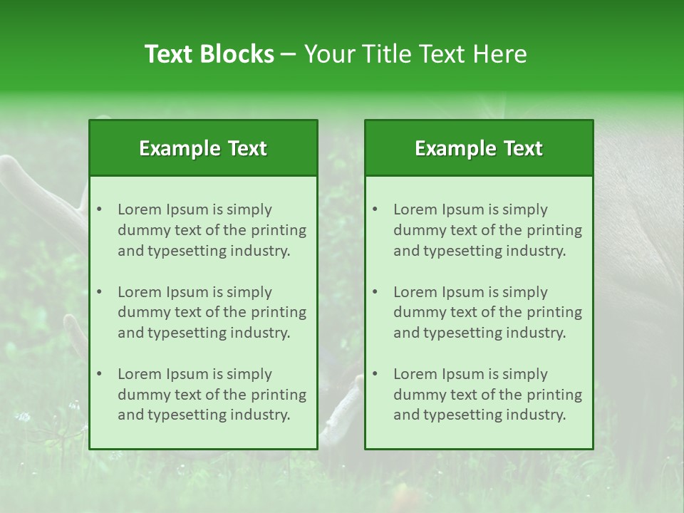 A Deer With Antlers Is Eating Grass In The Woods PowerPoint Template