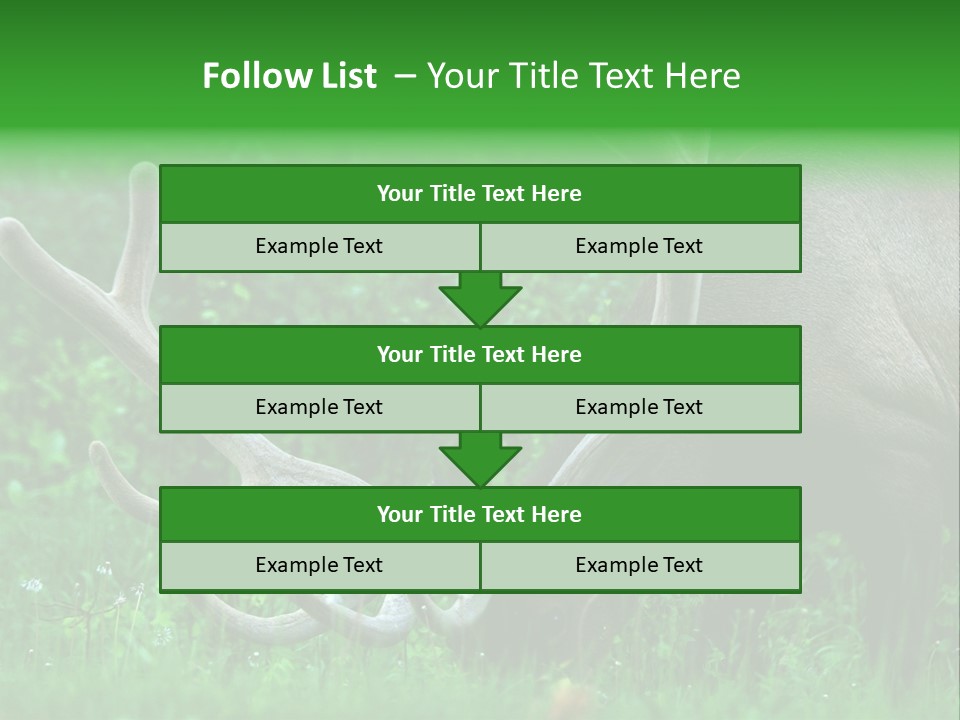 A Deer With Antlers Is Eating Grass In The Woods PowerPoint Template