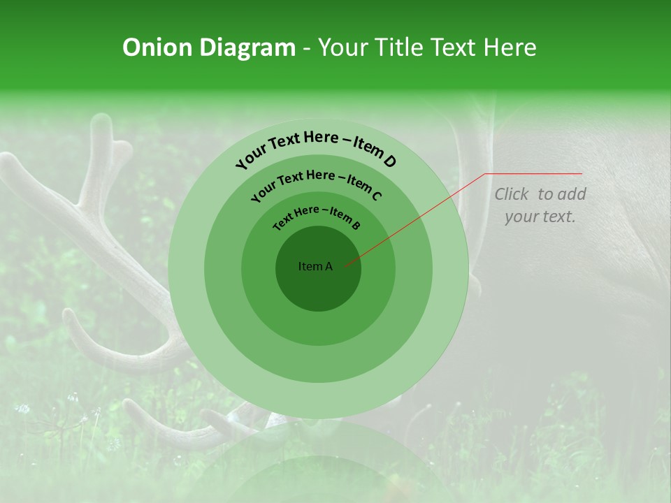 A Deer With Antlers Is Eating Grass In The Woods PowerPoint Template