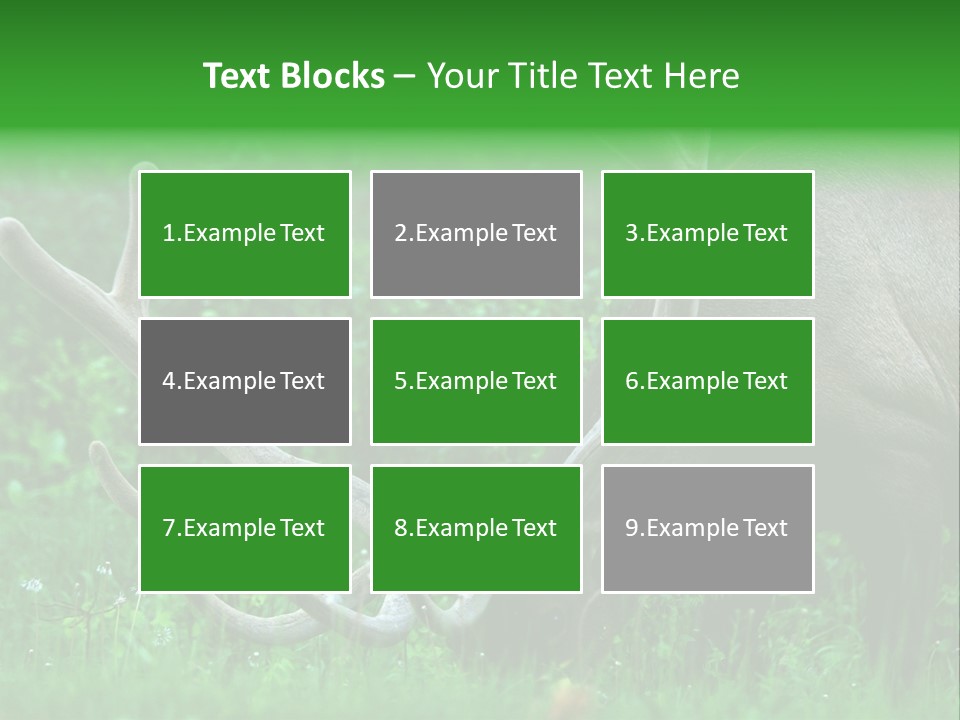 A Deer With Antlers Is Eating Grass In The Woods PowerPoint Template