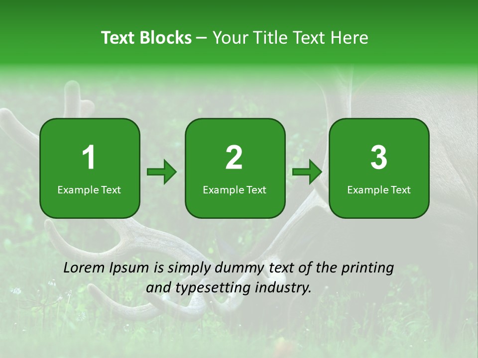 A Deer With Antlers Is Eating Grass In The Woods PowerPoint Template