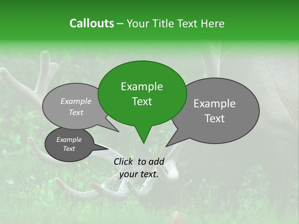 A Deer With Antlers Is Eating Grass In The Woods PowerPoint Template