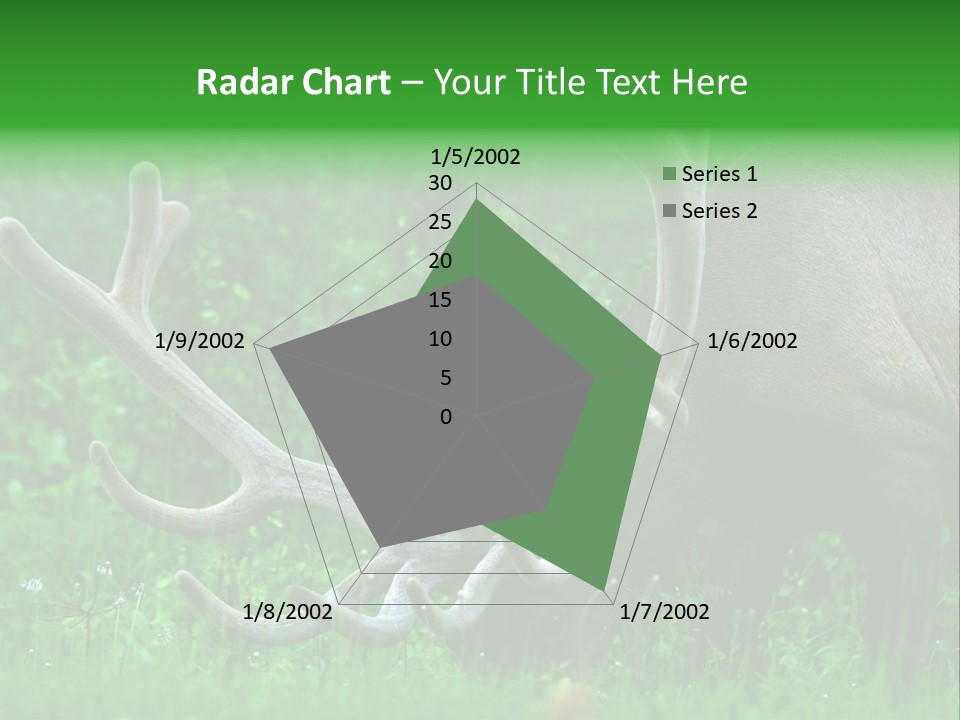 A Deer With Antlers Is Eating Grass In The Woods PowerPoint Template