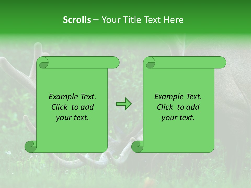 A Deer With Antlers Is Eating Grass In The Woods PowerPoint Template