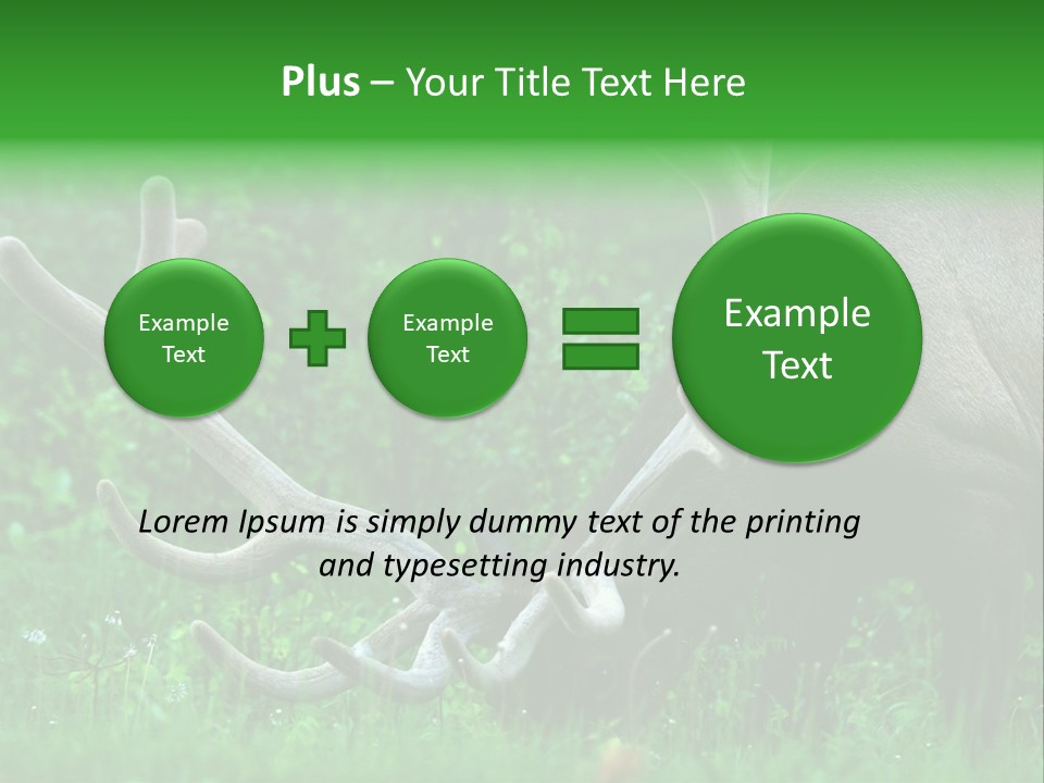 A Deer With Antlers Is Eating Grass In The Woods PowerPoint Template