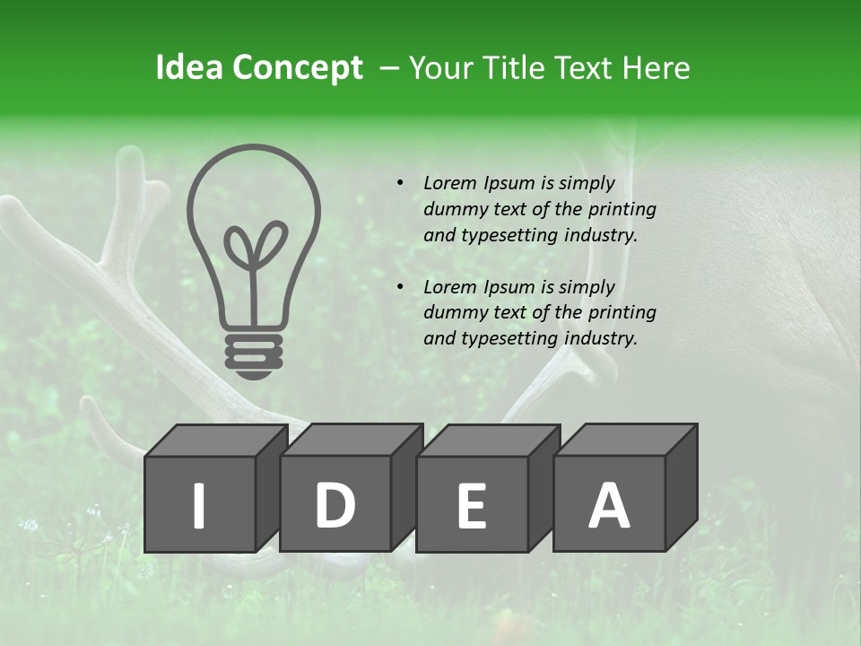 A Deer With Antlers Is Eating Grass In The Woods PowerPoint Template