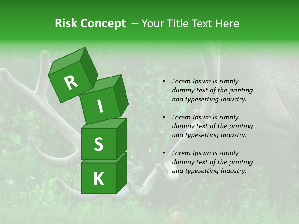 A Deer With Antlers Is Eating Grass In The Woods PowerPoint Template