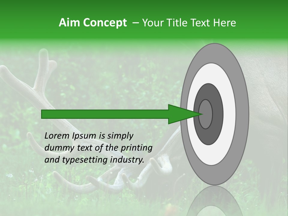 A Deer With Antlers Is Eating Grass In The Woods PowerPoint Template