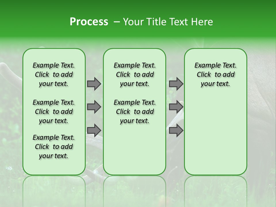 A Deer With Antlers Is Eating Grass In The Woods PowerPoint Template