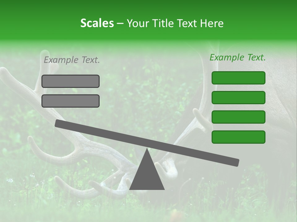 A Deer With Antlers Is Eating Grass In The Woods PowerPoint Template