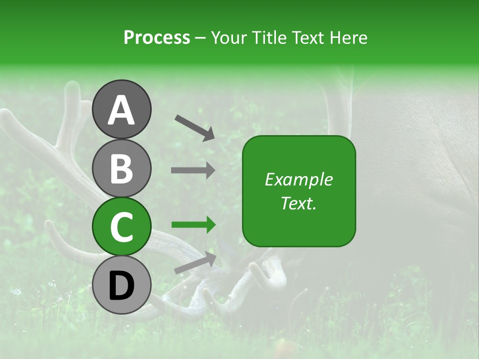 A Deer With Antlers Is Eating Grass In The Woods PowerPoint Template