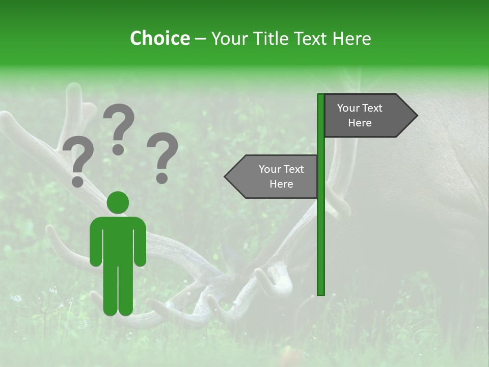 A Deer With Antlers Is Eating Grass In The Woods PowerPoint Template