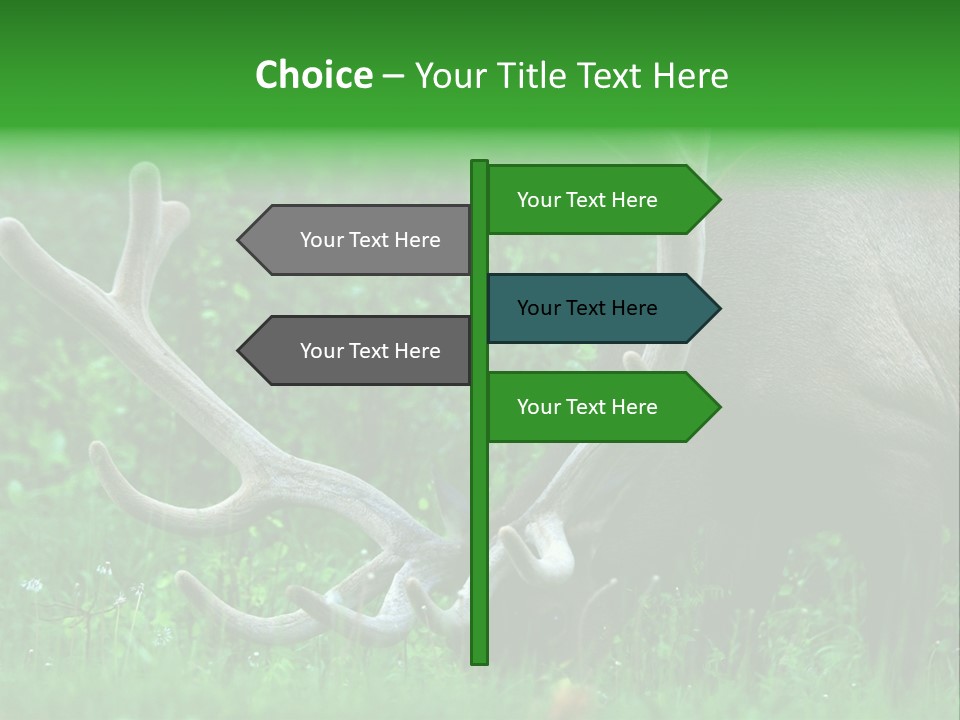 A Deer With Antlers Is Eating Grass In The Woods PowerPoint Template
