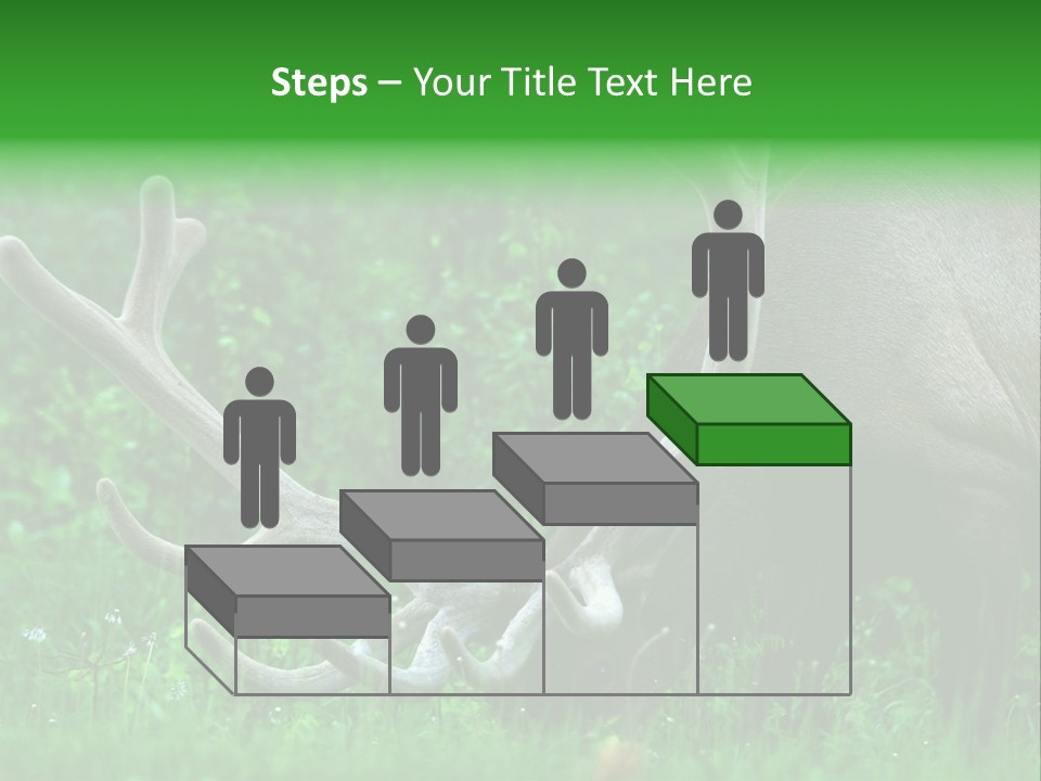 A Deer With Antlers Is Eating Grass In The Woods PowerPoint Template