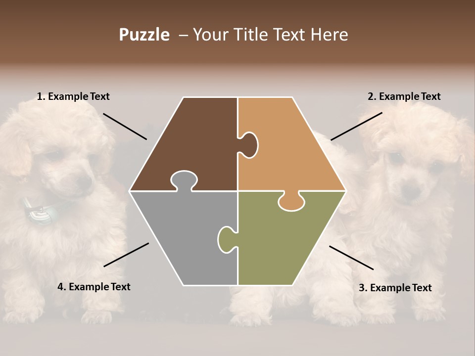 Four Adorable Poodle Puppies PowerPoint Template