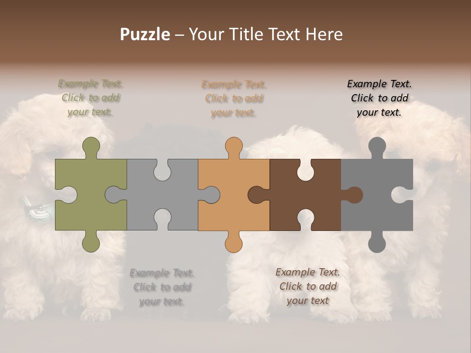 Four Adorable Poodle Puppies PowerPoint Template