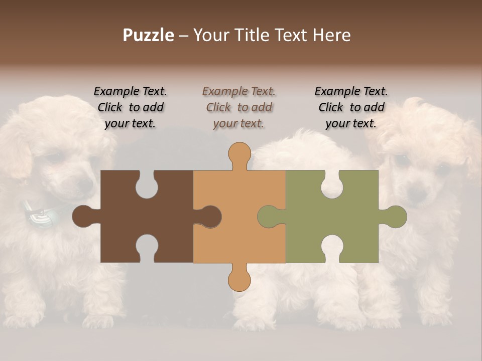 Four Adorable Poodle Puppies PowerPoint Template