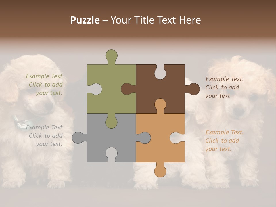Four Adorable Poodle Puppies PowerPoint Template