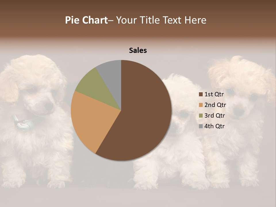 Four Adorable Poodle Puppies PowerPoint Template