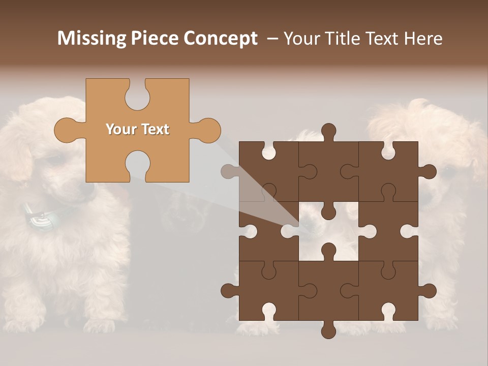 Four Adorable Poodle Puppies PowerPoint Template