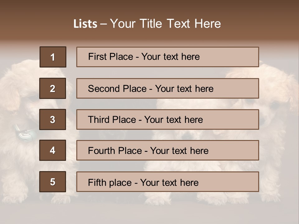 Four Adorable Poodle Puppies PowerPoint Template