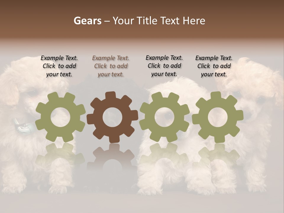 Four Adorable Poodle Puppies PowerPoint Template