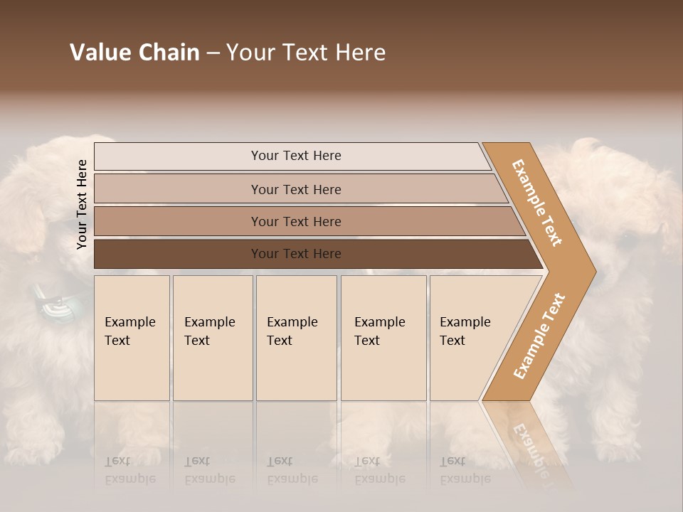 Four Adorable Poodle Puppies PowerPoint Template